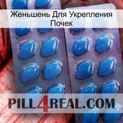 Женьшень Для Укрепления Почек viagra2